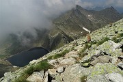 41 Tre stambeccchi con vista sul Lago Moro